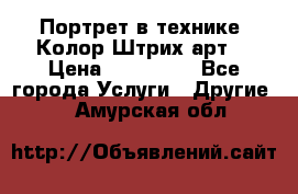 Портрет в технике “Колор-Штрих-арт“ › Цена ­ 250-350 - Все города Услуги » Другие   . Амурская обл.